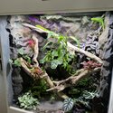 Custom Tank for reptiles like a Gecko Bearded Dragon snake-3