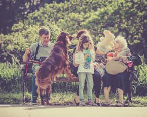 Pet Sitting California